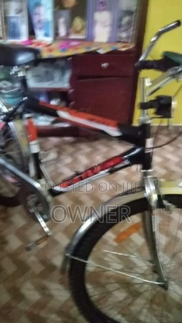 Rally Bicycle Brand New