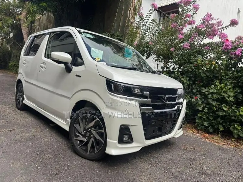 Suzuki Wagon R Custon ZX 2026