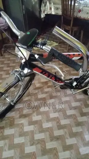 Rally Bicycle Brand New