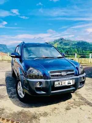 Hyundai Tucson JM 2008