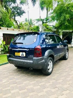 Hyundai Tucson JM 2008