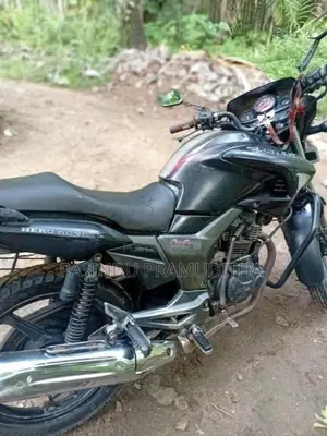 Hero Hunk 2009 Motorbike (Used)