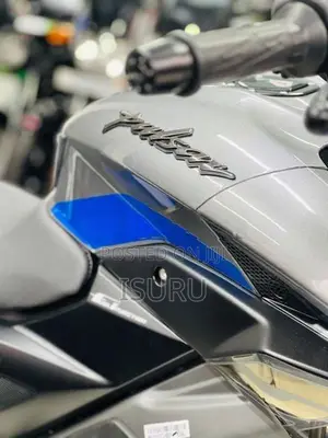 Bajaj Pulsar NS200 2026