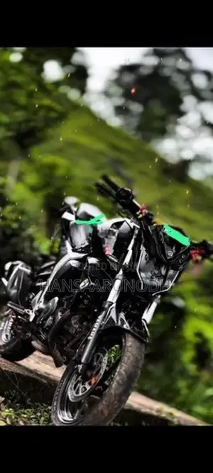 Yamaha FZs V2 2018