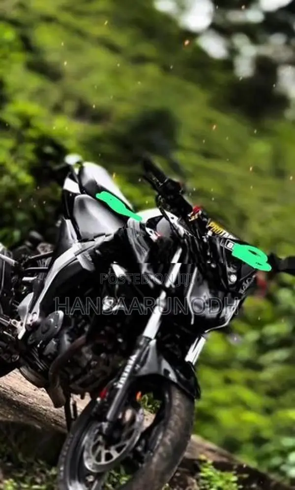 Yamaha FZs V2 2018