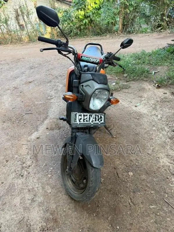Honda Navi 2017