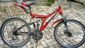 Size 24 DSI Bicycle