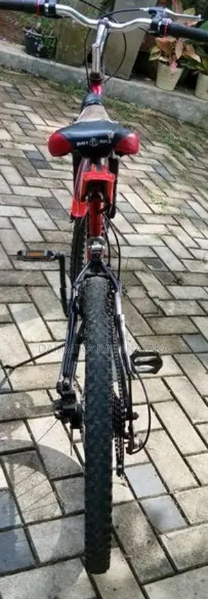 Size 24 DSI Bicycle