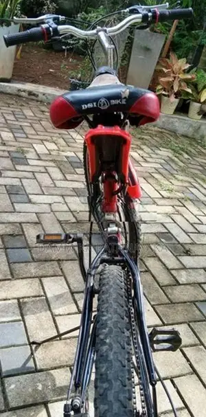 Size 24 DSI Bicycle