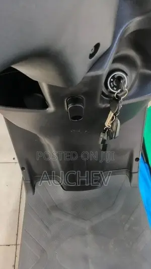 AUCHEV Pisces 2026