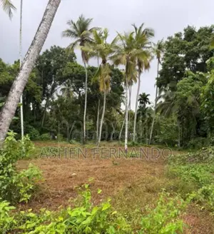 Prime Land for Sale in Hanwella – Only 1km to Town