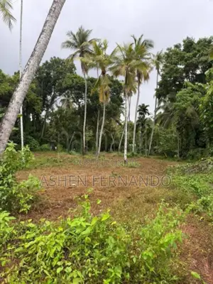 Prime Land for Sale in Hanwella – Only 1km to Town