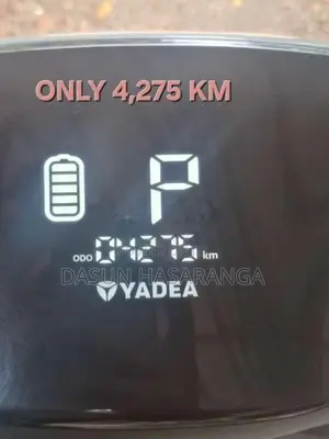 Yadea Ruibin 2024 Motorbike (Used)