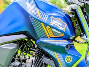 Yamaha FZ-S 2019 Motorbike (Used)