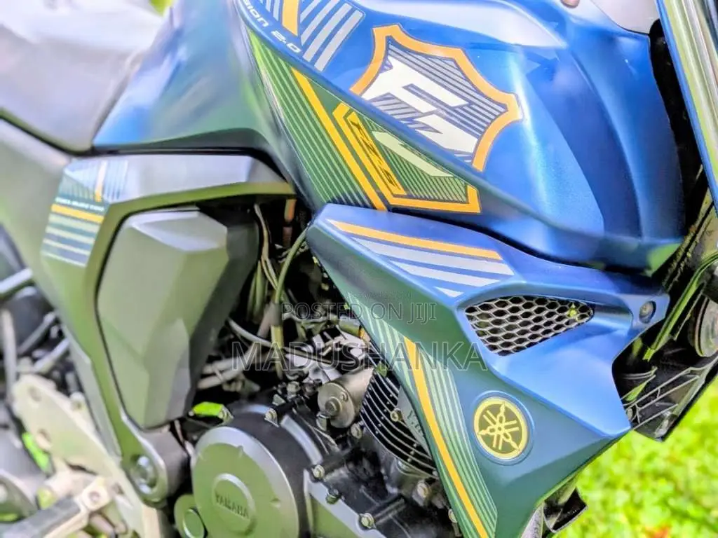 Yamaha FZ-S 2019 Motorbike (Used)