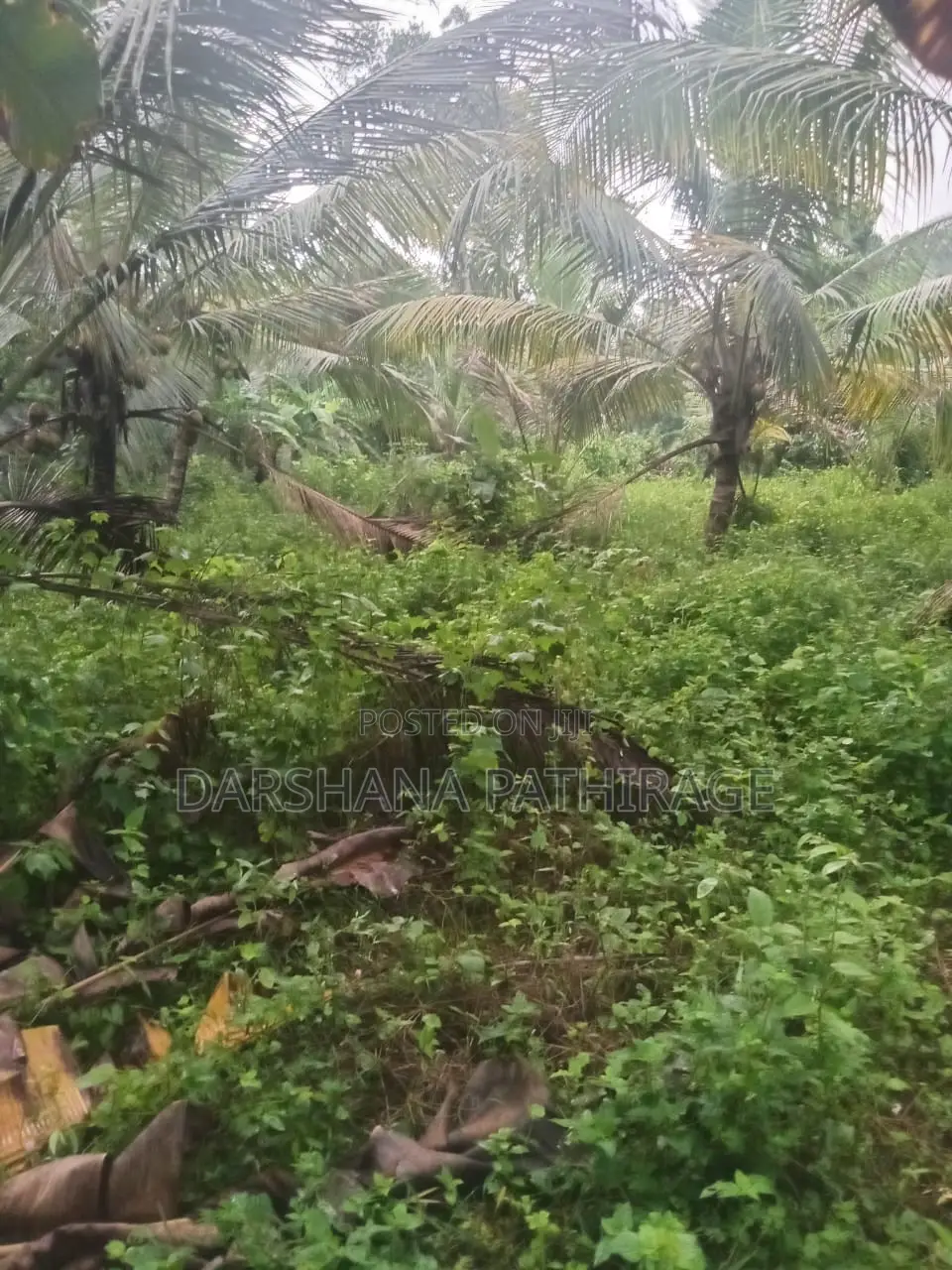 Land for Sale