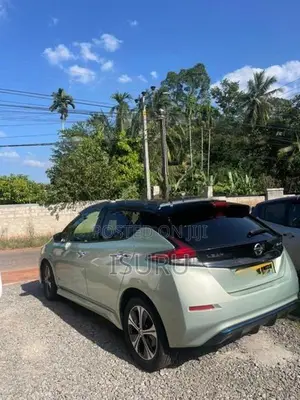 Nissan Leaf 2014