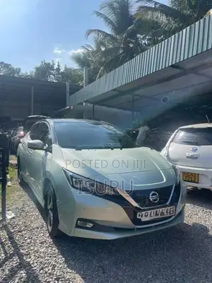 Nissan Leaf 2014