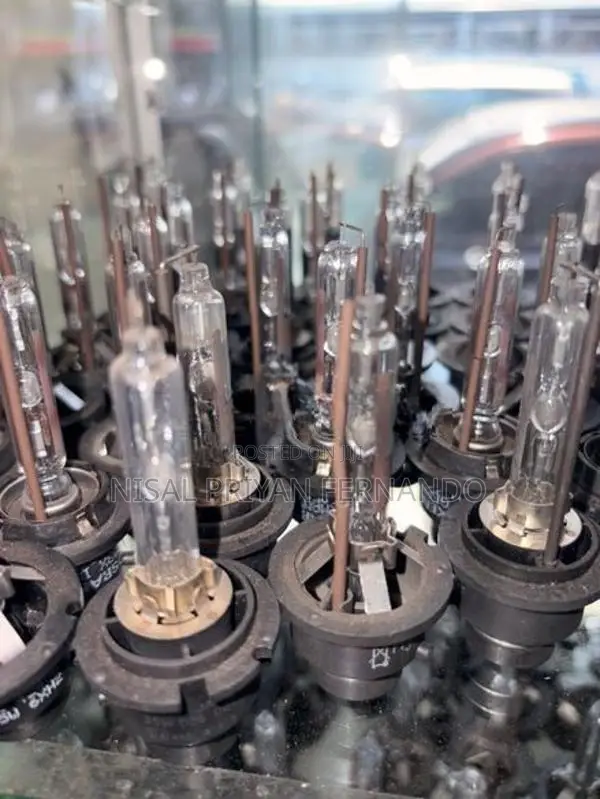 D4R Head Light Bulb (Japan)