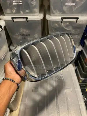 Genuine Brand New BMW X5 2017 Bumper Kidney Grill Shell F15