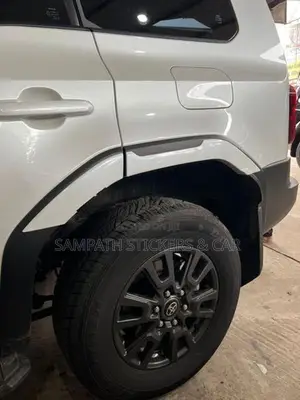 Prado 250 Wheel Arch