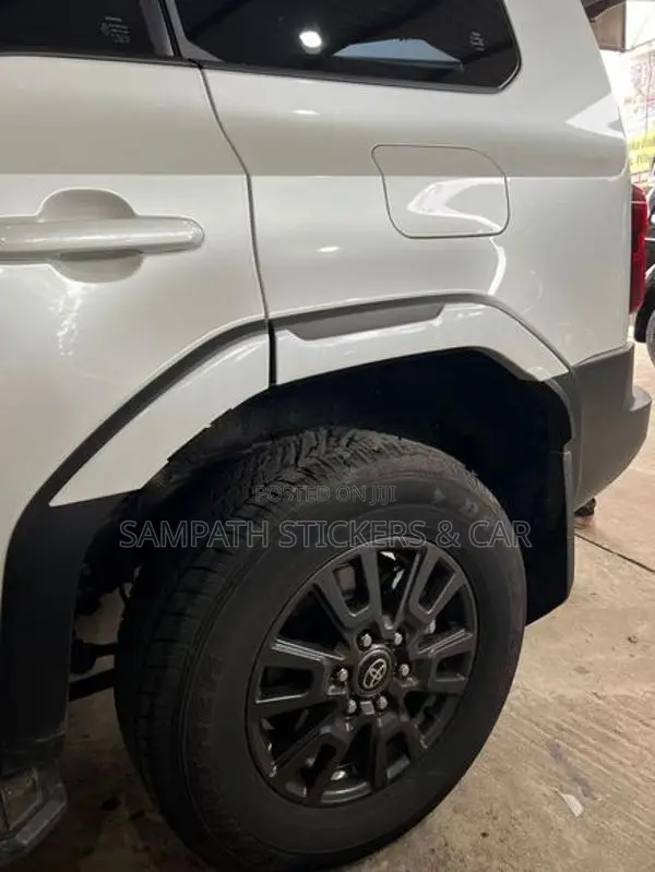 Prado 250 Wheel Arch