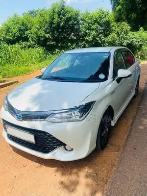 Toyota Axio WXB 2017