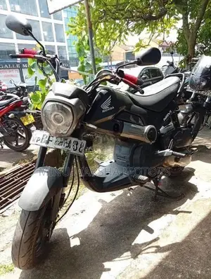 Honda Navi 2017