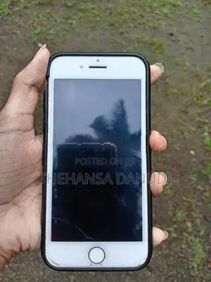 Apple iPhone 7 (Used)