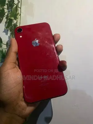 Apple iPhone XR (Used)