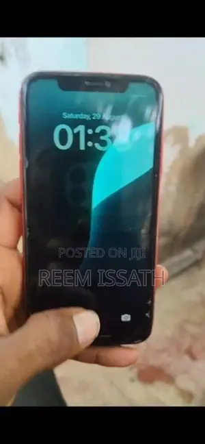 Apple iPhone 11 (Used)