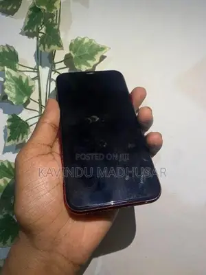 Apple iPhone XR (Used)