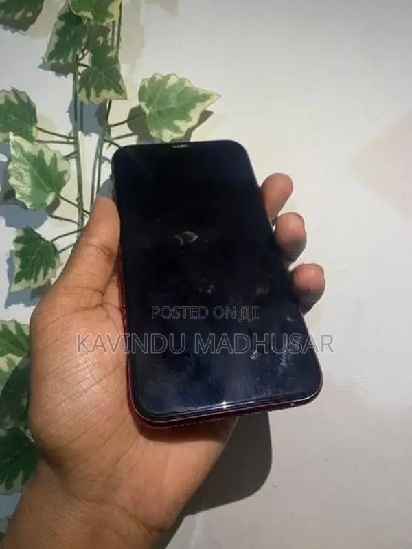 Apple iPhone XR (Used)