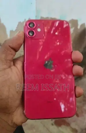 Apple iPhone 11 (Used)