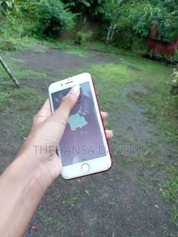Apple iPhone 7 (Used)