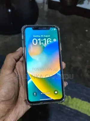 Apple iPhone X (Used)
