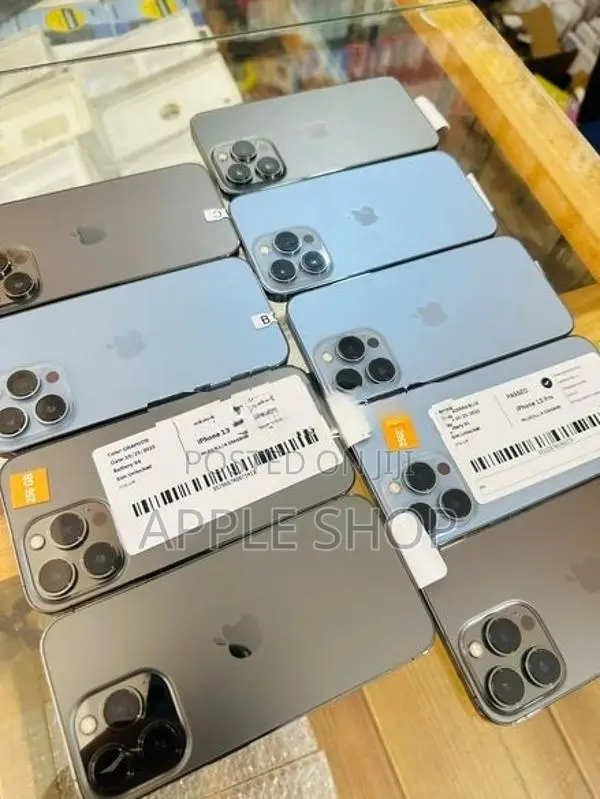 Apple iPhone 13 Pro 256GB (Used)