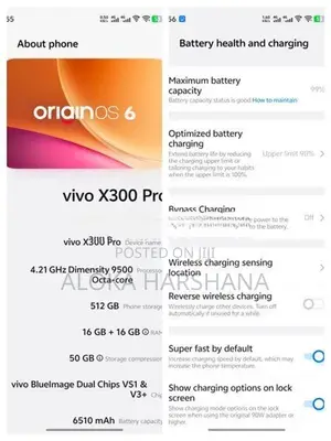 Vivo X300 Pro (Used)