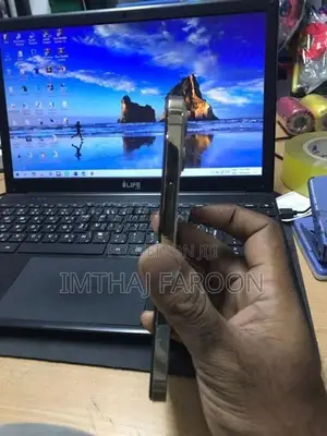 Apple iPhone 12 Pro Max (Used)