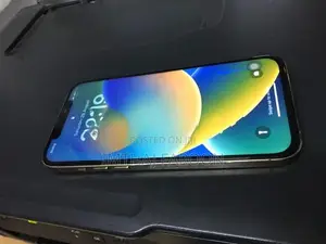Apple iPhone 12 Pro Max (Used)