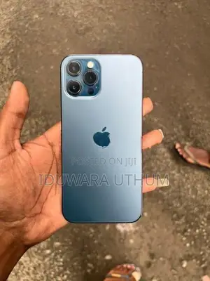 Apple iPhone 12 Pro Max (Used)