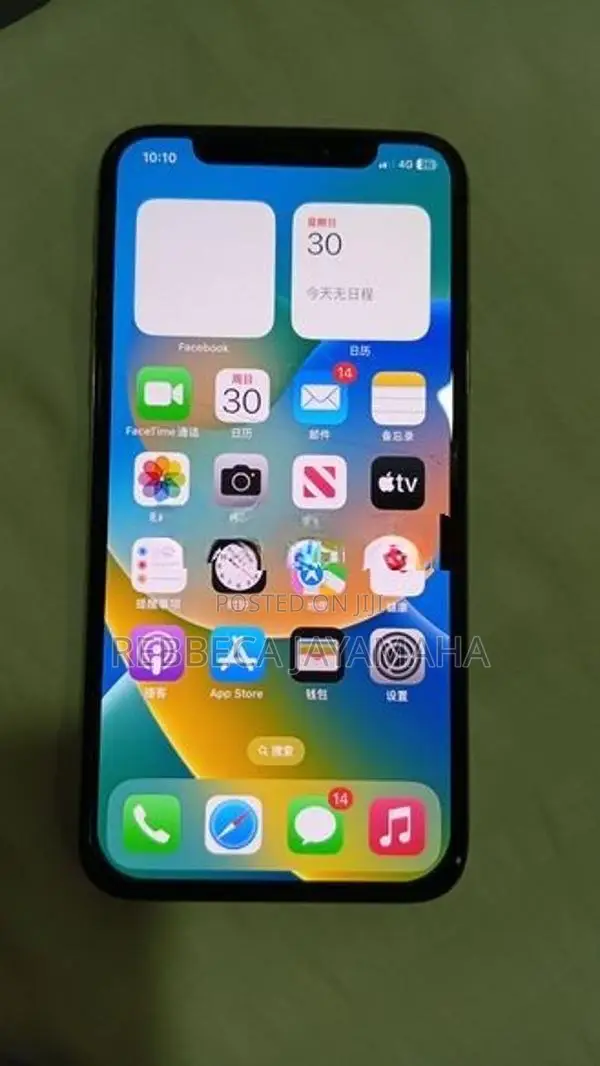Apple iPhone X 64 GB (Used)