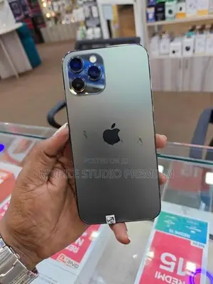 Apple iPhone 12 Pro Max (Used)