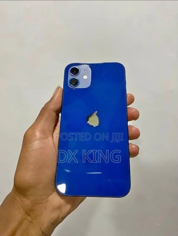 Apple iPhone 12 Blue Ex Ok (Used)