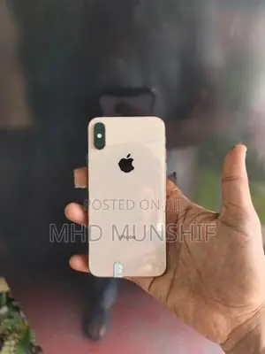 Apple iPhone XS 256 (Used)