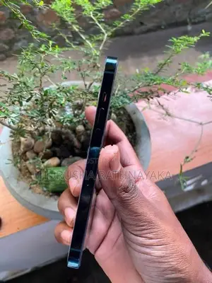 Apple iPhone 13 Pro (Used)