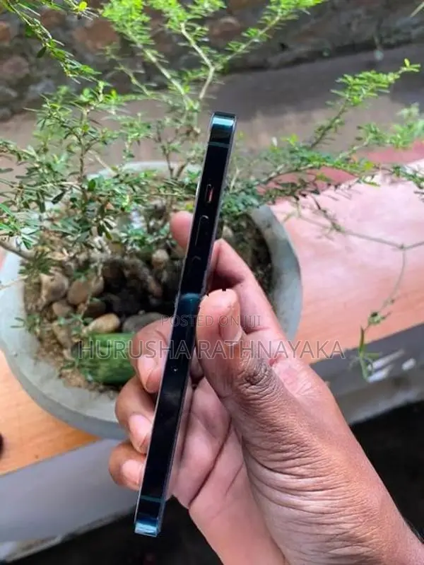 Apple iPhone 13 Pro (Used)