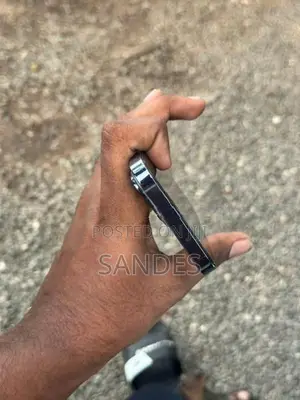 Apple iPhone 13 Pro (Used)