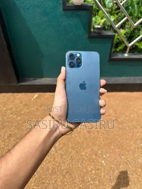 Apple iPhone 12 Pro Max (Used)