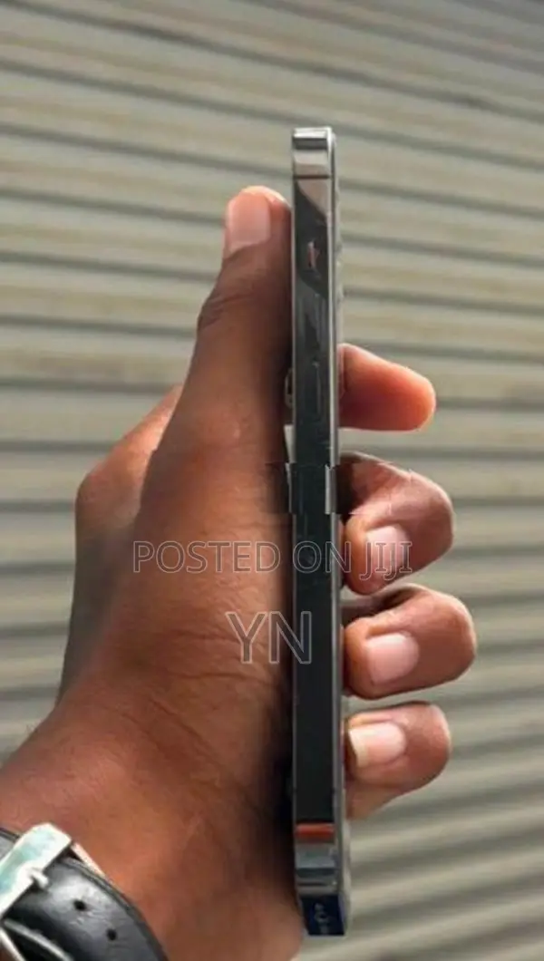 Apple iPhone 13 Pro (Used)
